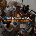Course: The Formula for Business Excellence